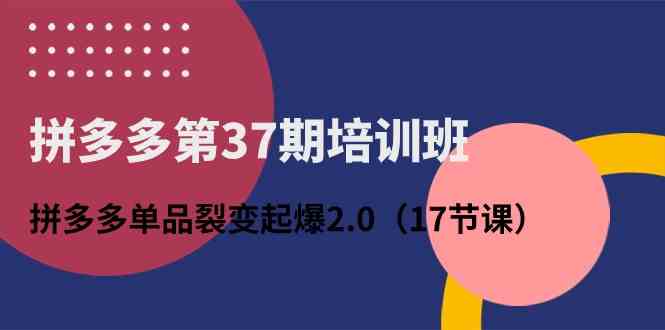 拼多多第37期培训班：拼多多单品裂变起爆2.0（17节课）-3YVIP资源库
