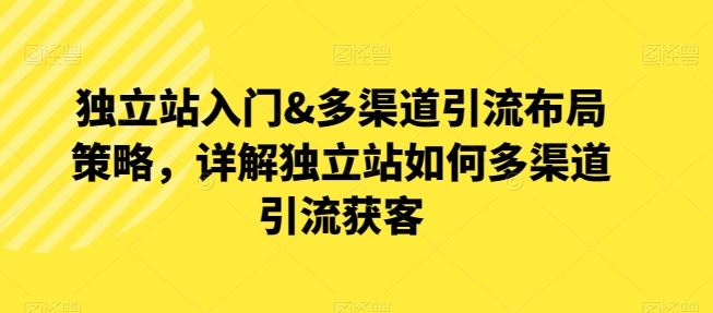 独立站入门&多渠道引流布局策略，详解独立站如何多渠道引流获客-3YVIP资源库