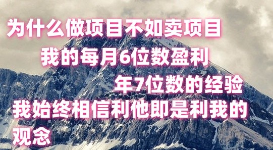 做项目不如卖项目，每月6位数盈利，年7位数经验-3YVIP资源库