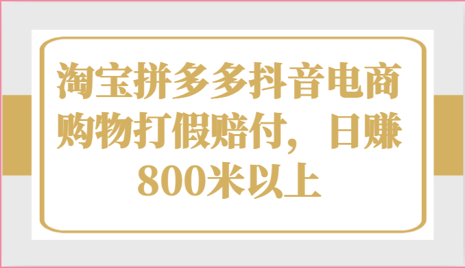 淘宝拼多多抖音电商购物打假赔付，日赚800米以上-3YVIP资源库