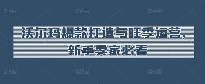 沃尔玛爆款打造与旺季运营，新手卖家必看-3YVIP资源库