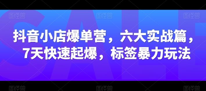 抖音小店爆单营，六大实战篇，7天快速起爆，标签暴力玩法-3YVIP资源库