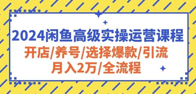 2024闲鱼高级实操运营课程：开店/养号/选择爆款/引流/月入2万/全流程-3YVIP资源库