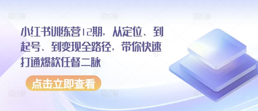小红书训练营12期，从定位、到起号、到变现全路径，带你快速打通爆款任督二脉-3YVIP资源库