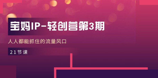 宝妈IP轻创营第3期，人人都能抓住的流量风口（21节课）-3YVIP资源库