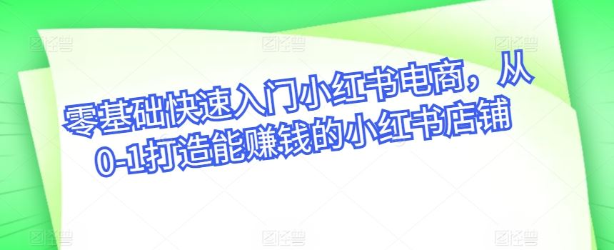 零基础快速入门小红书电商，从0-1打造能赚钱的小红书店铺-3YVIP资源库