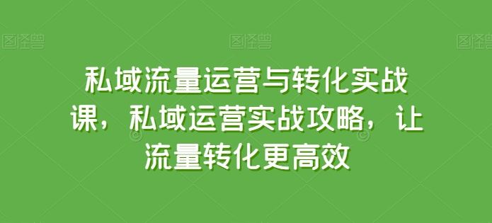 私域流量运营与转化实战课，私域运营实战攻略，让流量转化更高效-3YVIP资源库