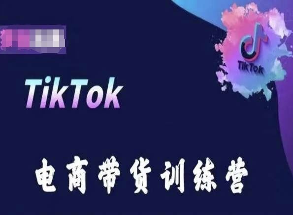TikTok电商带货训练营，跟随时代潮流，跨境掘金-3YVIP资源库