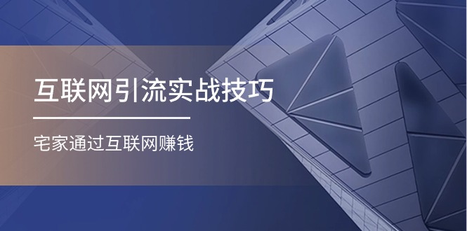 互联网引流实操技巧(适合微商，吸引宝妈)，宅家通过互联网赚钱（17节）-3YVIP资源库