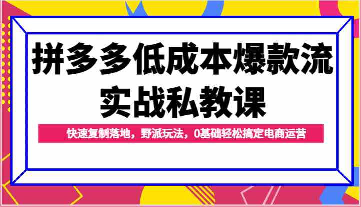 拼多多低成本爆款流实战私教课，快速复制落地，野派玩法，0基础轻松搞定电商运营-3YVIP资源库