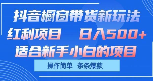 抖音橱窗带货新玩法，单日收益几张，操作简单，条条爆款【揭秘】-3YVIP资源库
