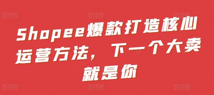 Shopee爆款打造核心运营方法，下一个大卖就是你-3YVIP资源库