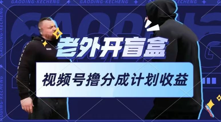 老外开盲盒视频，撸视频号分成计划收益，每天只需一小时，新手小白轻松上手【揭秘】-3YVIP资源库
