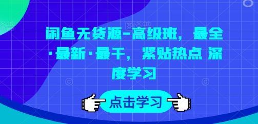 闲鱼无货源-高级班，最全·最新·最干，紧贴热点 深度学习-3YVIP资源库