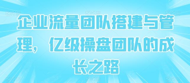企业流量团队搭建与管理，亿级操盘团队的成长之路-3YVIP资源库