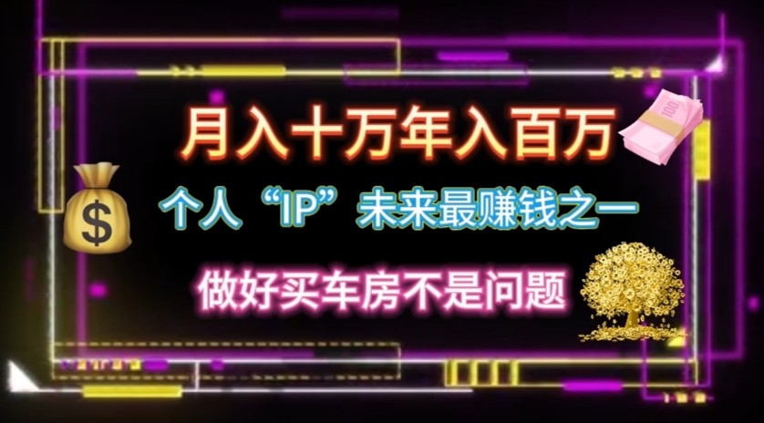 个人“ip”月入10w，年入100w-3YVIP资源库