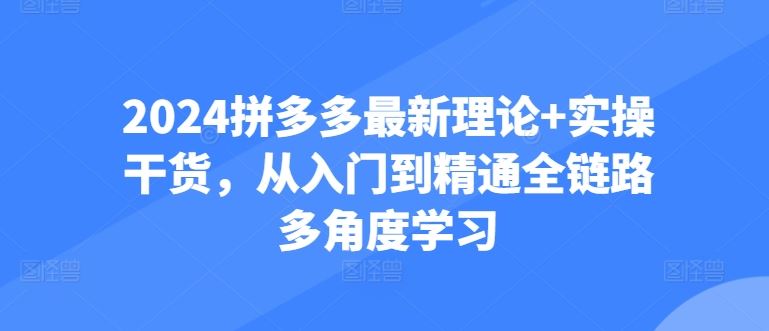 2024拼多多最新理论+实操干货，从入门到精通全链路多角度学习-3YVIP资源库