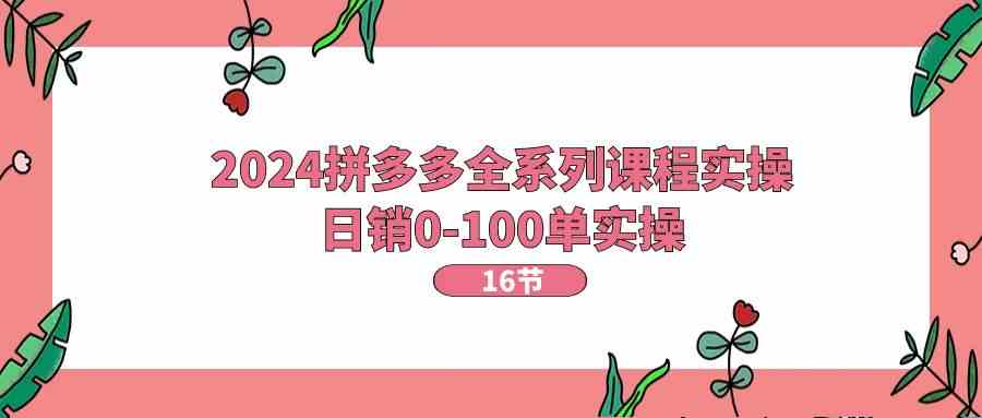 2024拼多多全系列课程实操，日销0-100单实操【16节课】-3YVIP资源库