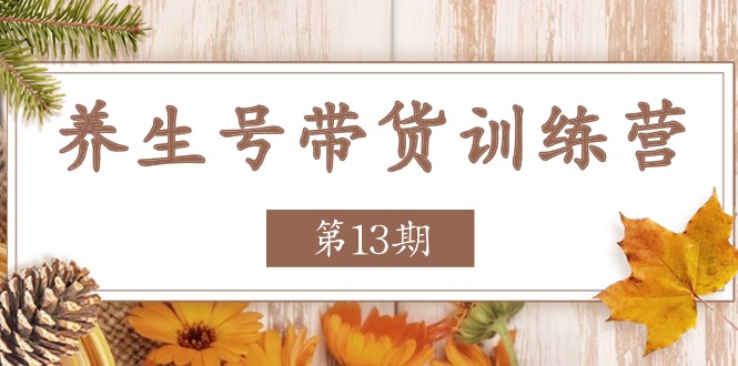 养生号带货训练营【第13期】收益更稳定的玩法，让你带货收益爆炸-3YVIP资源库