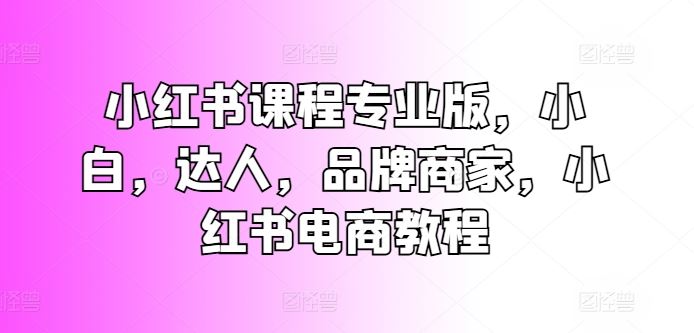 小红书课程专业版，小白，达人，品牌商家，小红书电商教程-3YVIP资源库
