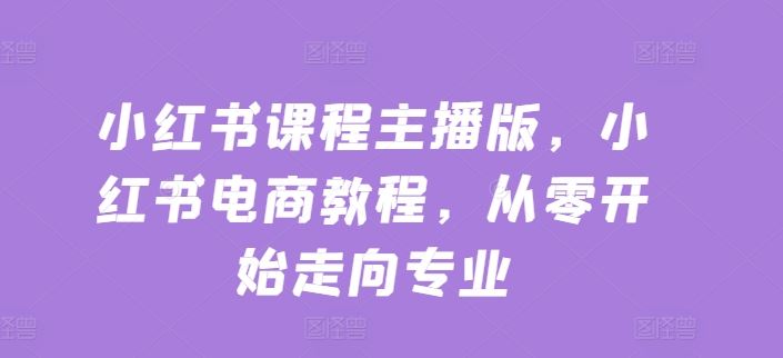 小红书课程主播版，小红书电商教程，从零开始走向专业-3YVIP资源库