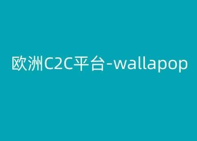 欧洲C2C平台-wallapop-kim跨境电商教程-3YVIP资源库