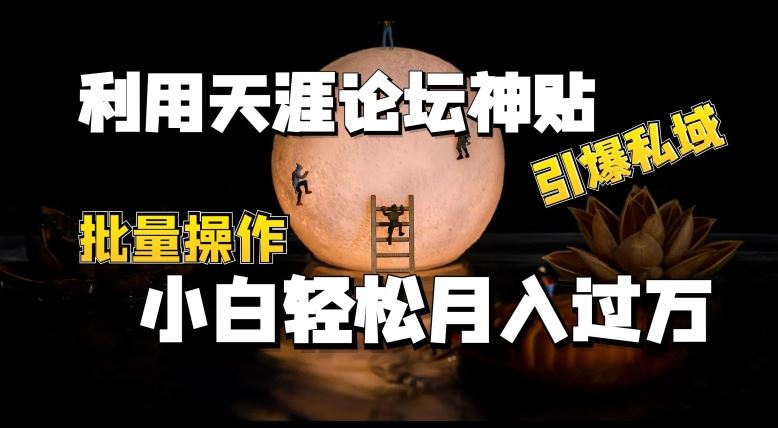 利用天涯论坛神贴，引爆私域，批量操作，小白轻松月入过w【揭秘】-3YVIP资源库