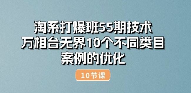淘系打爆班55期技术：万相台无界10个不同类目案例的优化(10节)-3YVIP资源库