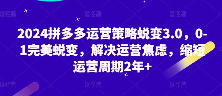 2024拼多多运营策略蜕变3.0，0-1完美蜕变，解决运营焦虑，缩短运营周期2年+-3YVIP资源库