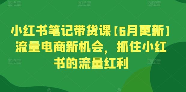 小红书笔记带货课【6月更新】流量电商新机会，抓住小红书的流量红利-3YVIP资源库