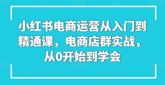 小红书电商运营从入门到精通课，电商店群实战，从0开始到学会-3YVIP资源库