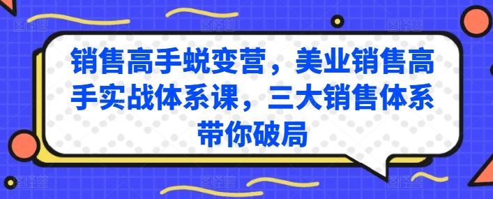 销售高手蜕变营，美业销售高手实战体系课，三大销售体系带你破局-3YVIP资源库