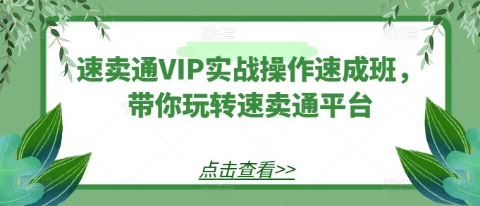 速卖通VIP实战操作速成班，带你玩转速卖通平台-3YVIP资源库