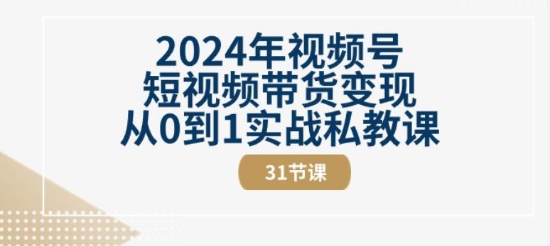 2024年视频号短视频带货变现从0到1实战私教课(31节视频课)-3YVIP资源库