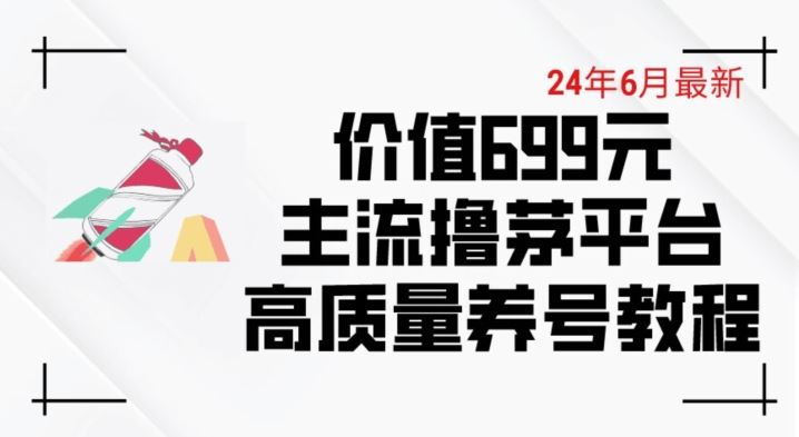 6月最新价值699的主流撸茅台平台精品养号下车攻略【揭秘】-3YVIP资源库