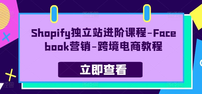 Shopify独立站进阶课程-Facebook营销-跨境电商教程-3YVIP资源库