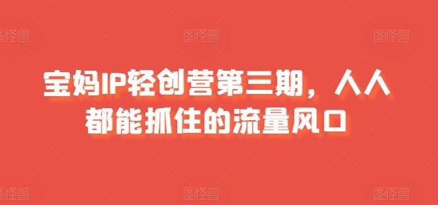 宝妈IP轻创营第三期，人人都能抓住的流量风口-3YVIP资源库
