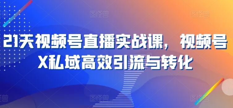 21天视频号直播实战课，视频号X私域高效引流与转化-3YVIP资源库