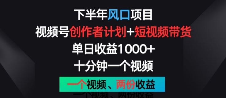 下半年风口项目，视频号创作者计划+视频带货，一个视频两份收益，十分钟一个视频【揭秘】-3YVIP资源库