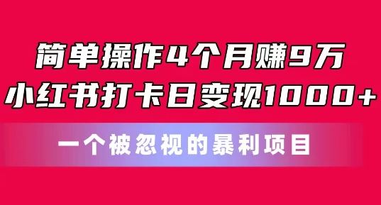 简单操作4个月赚9w，小红书打卡日变现1k，一个被忽视的暴力项目【揭秘】-3YVIP资源库