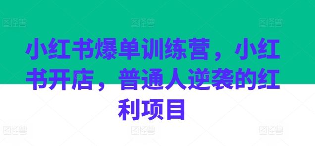 小红书爆单训练营，小红书开店，普通人逆袭的红利项目-3YVIP资源库