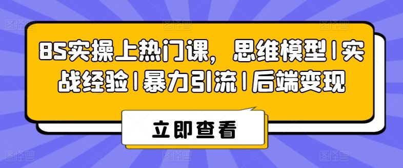 8S实操上热门课，思维模型|实战经验|暴力引流|后端变现-3YVIP资源库