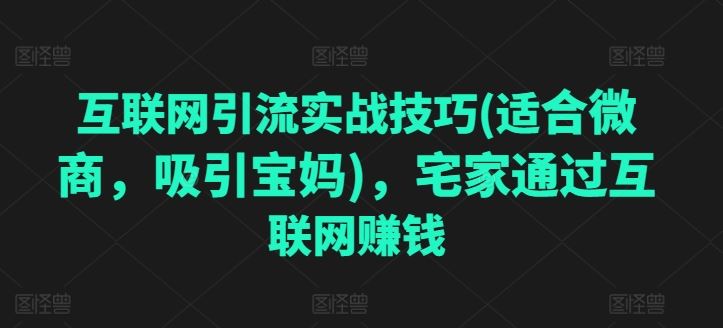 互联网引流实战技巧(适合微商，吸引宝妈)，宅家通过互联网赚钱-3YVIP资源库