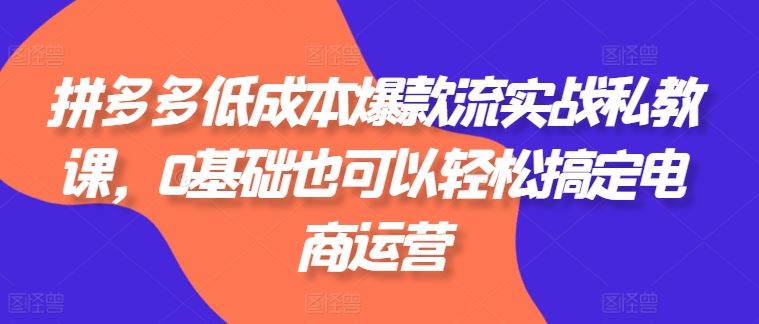 拼多多低成本爆款流实战私教课，0基础也可以轻松搞定电商运营-3YVIP资源库