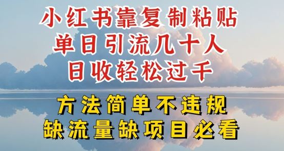 小红书靠复制粘贴单日引流几十人目收轻松过千，方法简单不违规【揭秘】-3YVIP资源库