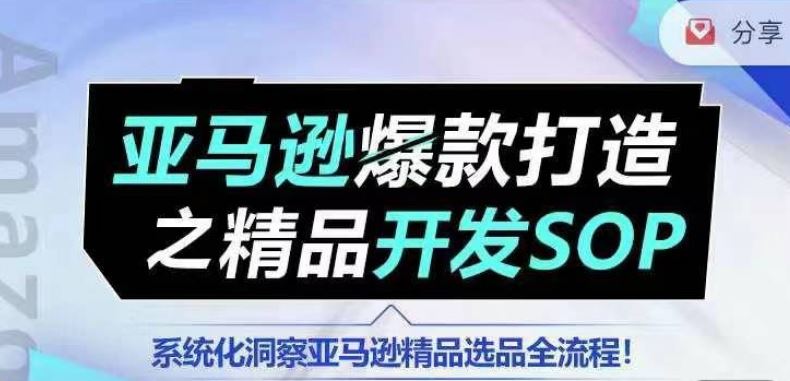 【训练营】亚马逊爆款打造之精品开发SOP，系统化洞察亚马逊精品选品全流程-3YVIP资源库