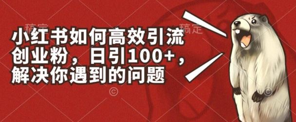 小红书如何高效引流创业粉，日引100+，解决你遇到的问题【揭秘】-3YVIP资源库