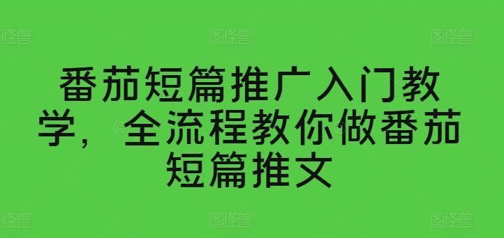 番茄短篇推广入门教学，全流程教你做番茄短篇推文-3YVIP资源库