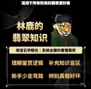 林鹿的翡翠知识，​用宝石眼光，系统全面的看懂翡翠-3YVIP资源库