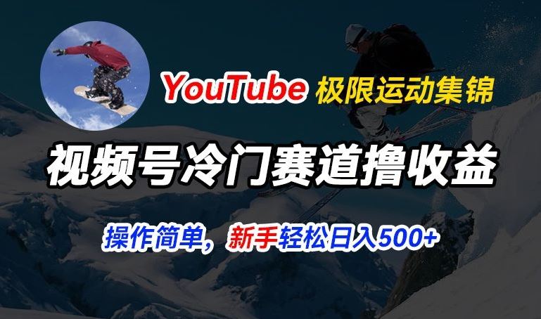 视频号冷门赛道撸收益，YouTube搬运极限运动集锦，暴力起号，操作简单流量高，轻松日入5张【揭秘】-3YVIP资源库